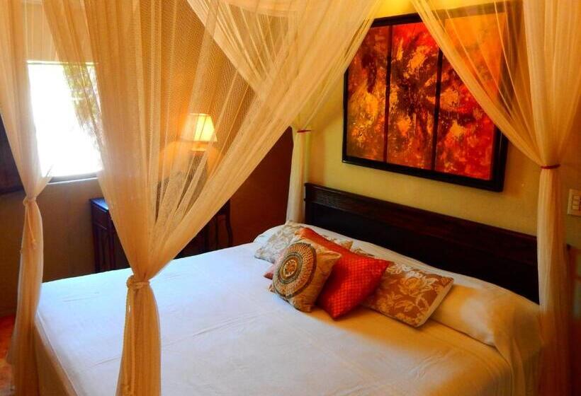 スタンダードルーム, Torres Del Fuerte