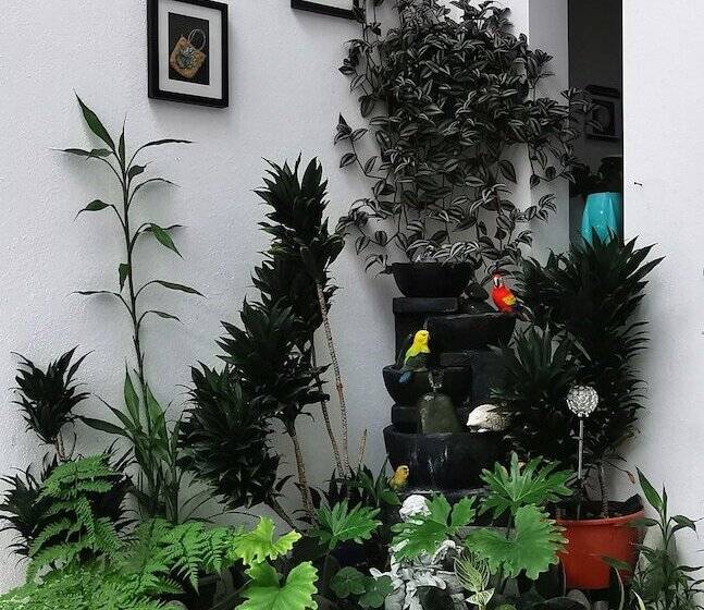 Habitació Deluxe, Lush & Co Auckland Bed & Breakfast