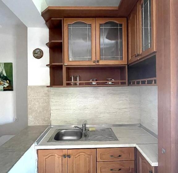 テラス付スタンダードルーム, Zoia