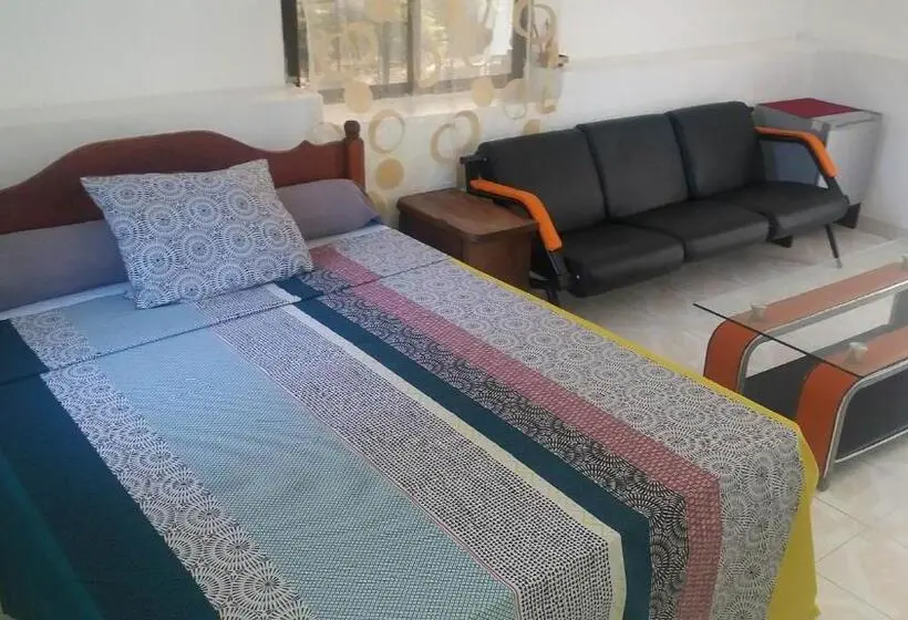 استودیو استاندارد با چشم‌انداز باغ, Farida Lodge