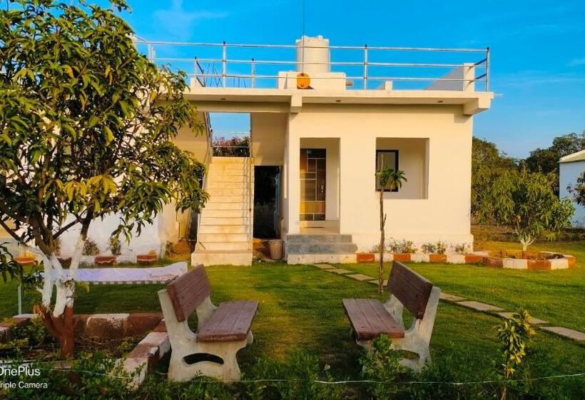 Номер Стандарт Вид на Сад, Aamrakunj Gir Resort