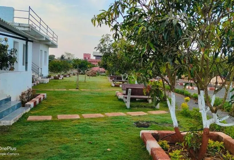 Standard-huone King-vuode, Aamrakunj Gir Resort
