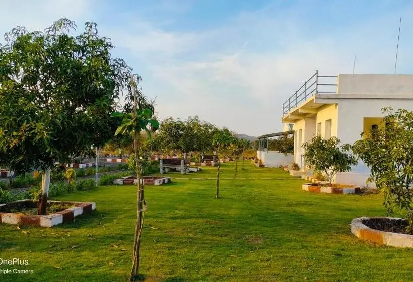 Standard-huone King-vuode, Aamrakunj Gir Resort