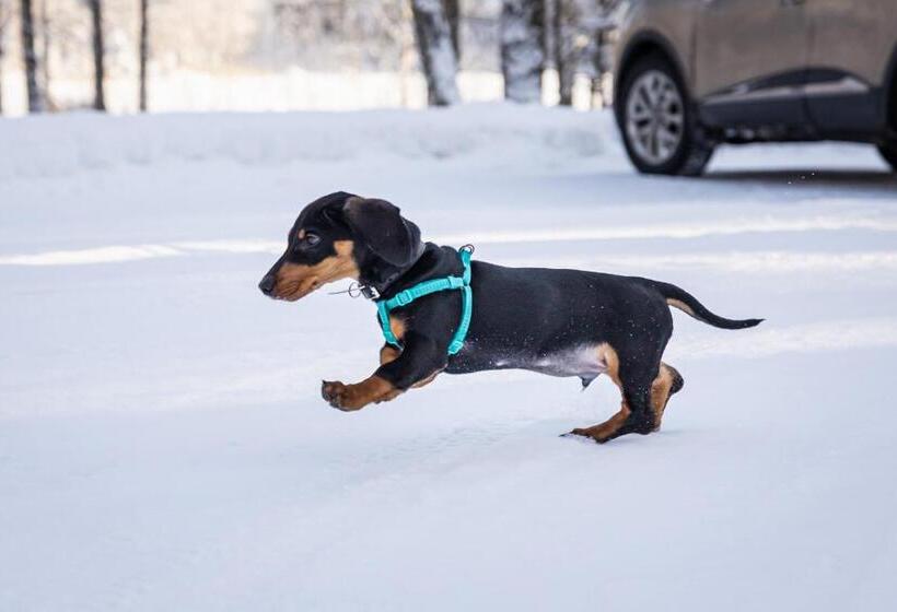 شاليه غرفة نوم واحدة, Niemilomat