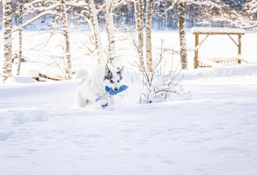 شقة غرفة واحدة, Niemilomat