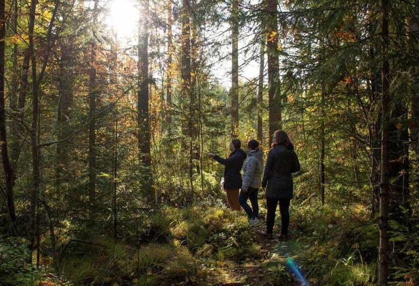 شقة غرفة واحدة, Niemilomat