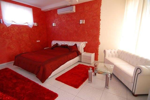 إستوديو ديلوكس, Coliseum