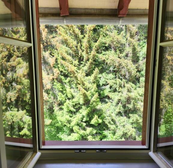 标准间, Gasthaus Crestasee
