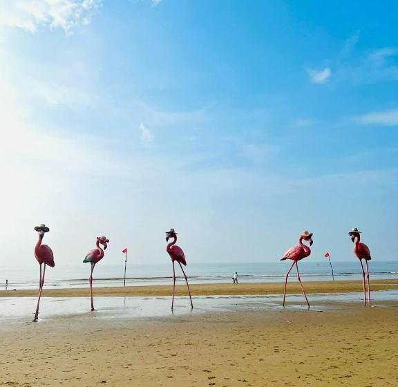استودیو استاندارد با تخت کینگ, Flamingos Hải Tiến