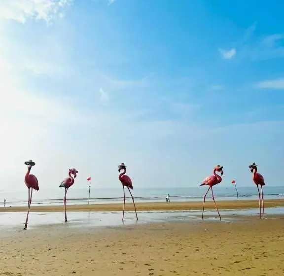 استودیو استاندارد با تخت کینگ, Flamingos Hải Tiến