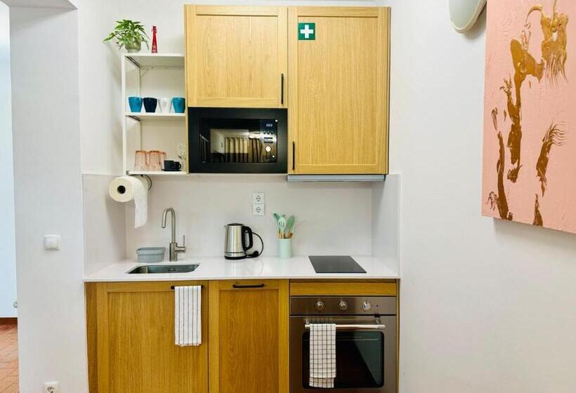 اتاق استاندارد با تخت بزرگ, Aomo Art Space Hostel