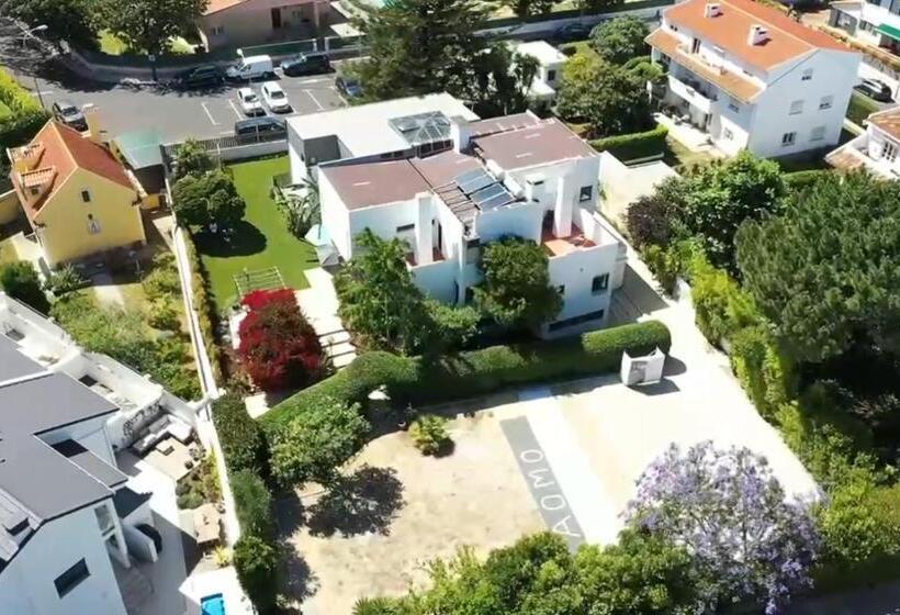 اتاق استاندارد, Aomo Art Space Hostel