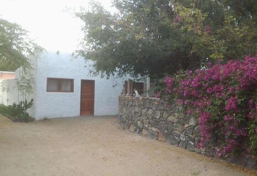 سوییت, Villa Morabeza Guest House