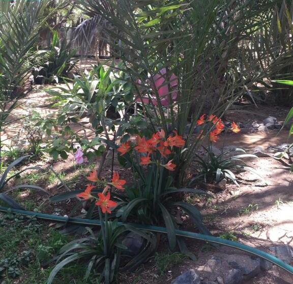 Habitación Deluxe, Villa Morabeza Guest House