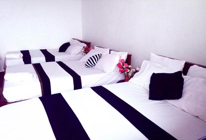 家庭间, White Home