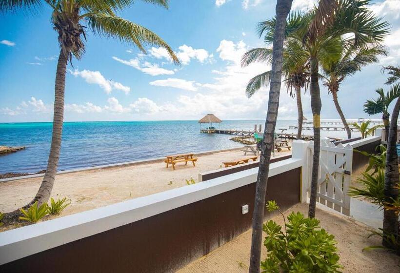 Студио Стандарт Кровать Кинг, Hidden Jewel Boutique