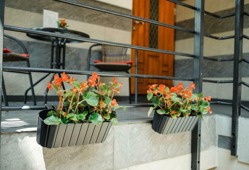 اتاق راحتی, Tiptop Hotel City Center