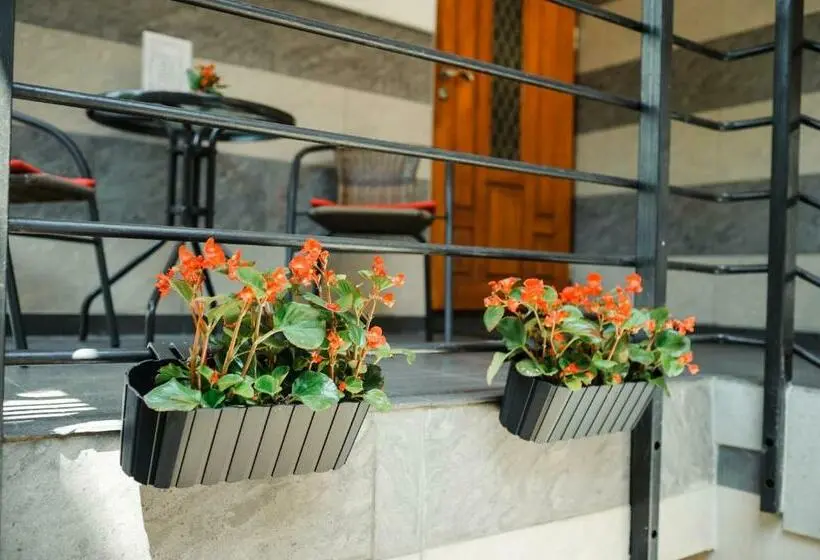 اتاق راحتی, Tiptop Hotel City Center