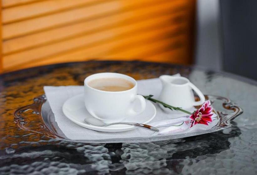 اتاق راحتی, Tiptop Hotel City Center