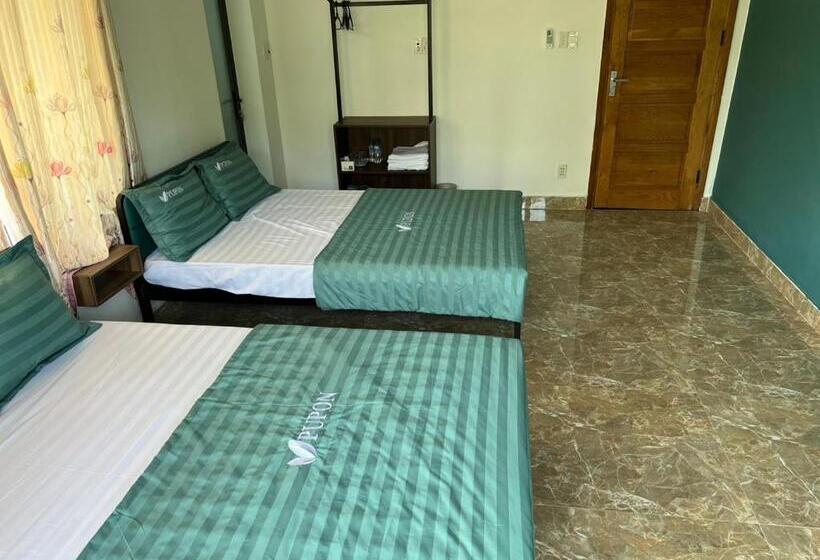 اتاق خانوادگی, Pp Homestay