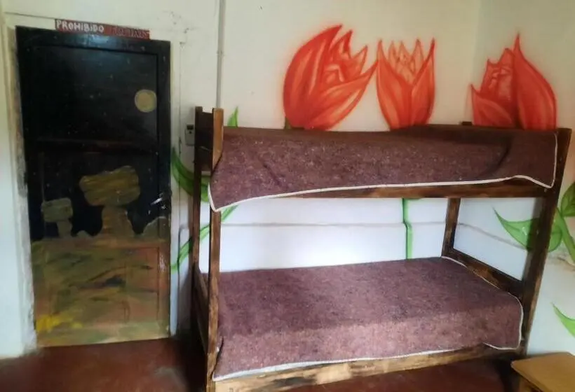 ルームシェアのワンベッド, Hostel El Submarino