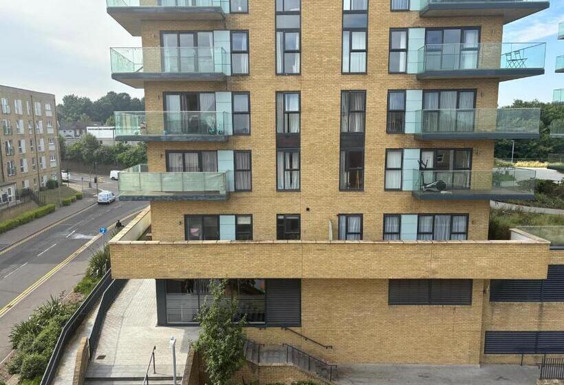 标准间, Pedro`s Luxury Stays