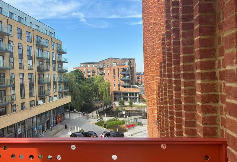 标准间, Pedro`s Luxury Stays