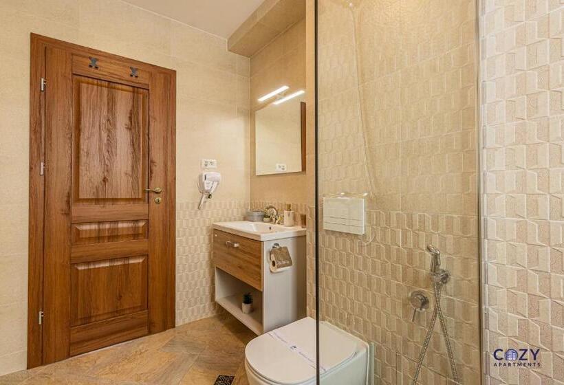 1 Bedroom Apartment Mountain View, Unique And Cozy Aparthotel In Brasov