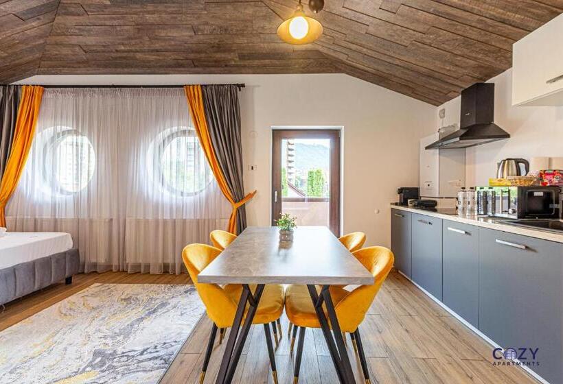 1 Bedroom Apartment Mountain View, Unique And Cozy Aparthotel In Brasov