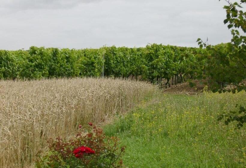 标准间, Ferme De Chez Piché