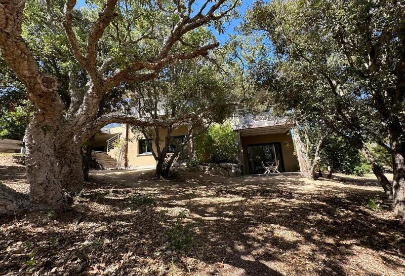 Номер Deluxe, Les Chambres Marcelle