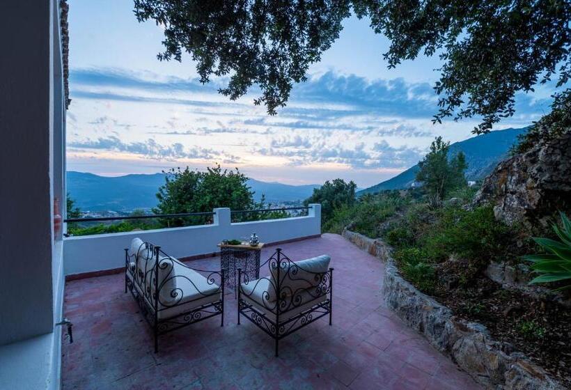 اتاق استاندارد با تراس, Farm Finn