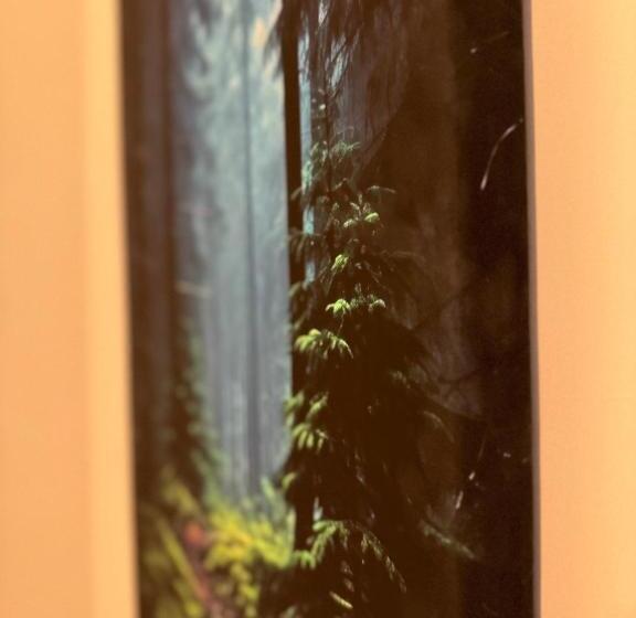 اتاق اکونومی, Freya Rooms