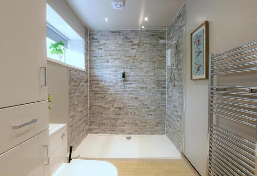 شقة سوبريور غرفة واحدة, The Ironworks Apart