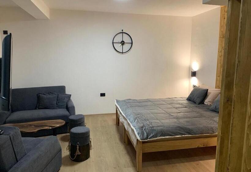 اتاق خانوادگی, Vila Aspen Mountain View Apartments