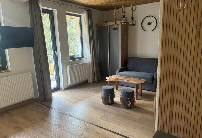 اتاق لوکس با بالکن, Vila Aspen Mountain View Apartments