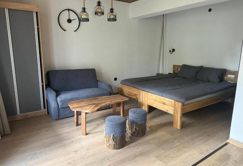 اتاق لوکس با بالکن, Vila Aspen Mountain View Apartments