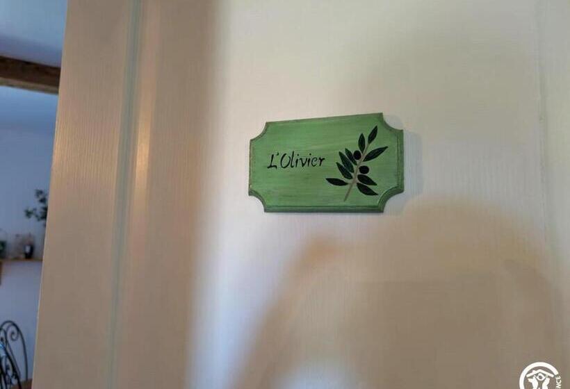 شقة غرفة واحدة, La Maison Millésime