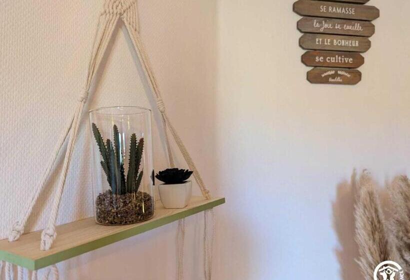 شقة غرفة واحدة, La Maison Millésime