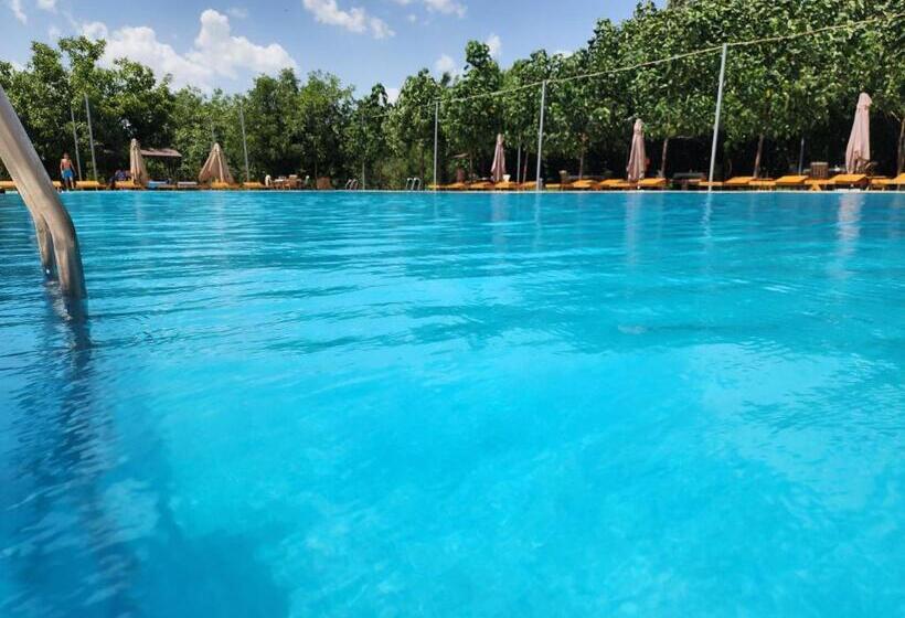 Üç Kişilik Standart Oda, Room4you