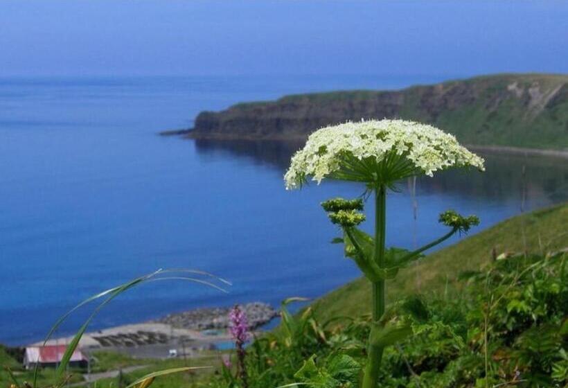 Студия Стандарт, Petit Hotel Corinthian   Vacation Stay 87780v