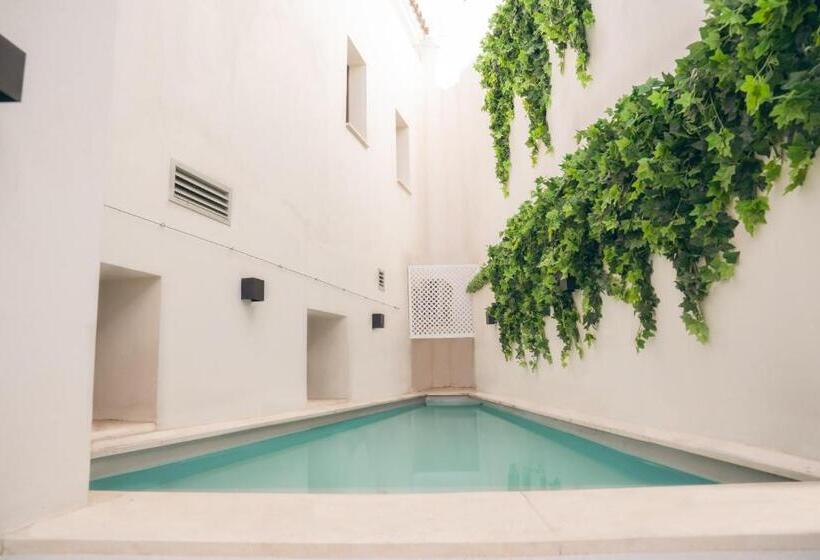 豪华房间, Sidonia