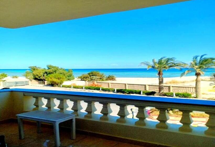 带海景的豪华间, Davinci White Beach Hurghada