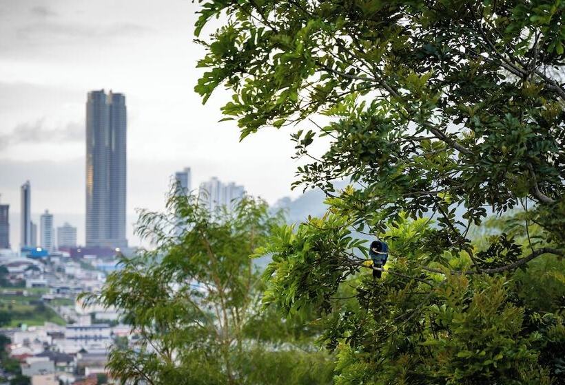 سوییت با چشمانداز باغ, Morada Pedra Branca Boutique