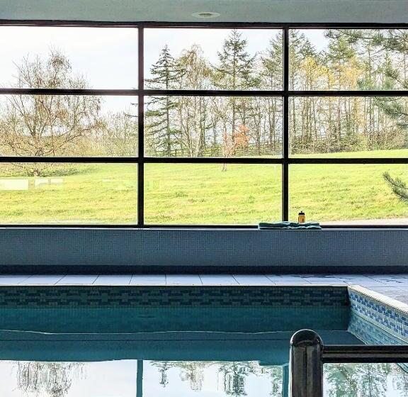 חדר סטנדרט, The Whoop