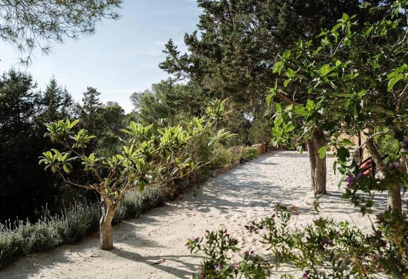 فيلا سوبيريور غرفة نوم واحدة, Casa La Vista