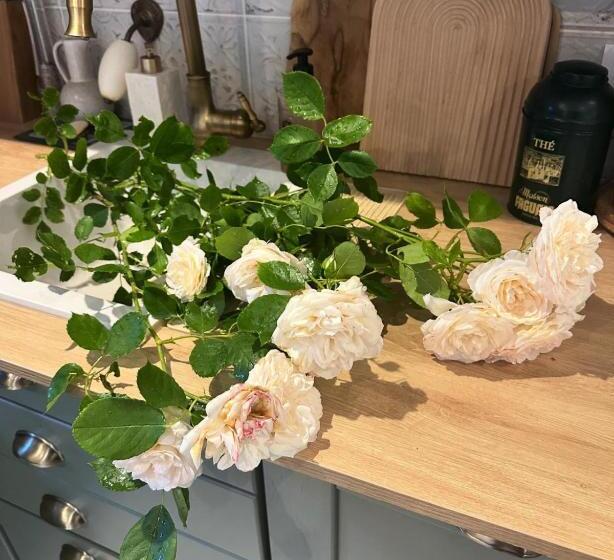 חדר סטנדרט, Maison Entière Avec Jardin Proche Disney & Paris