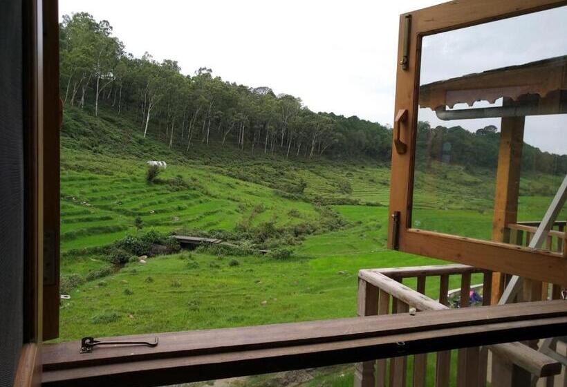 جناح عائلي, Osho Himalayas Meditation Resort