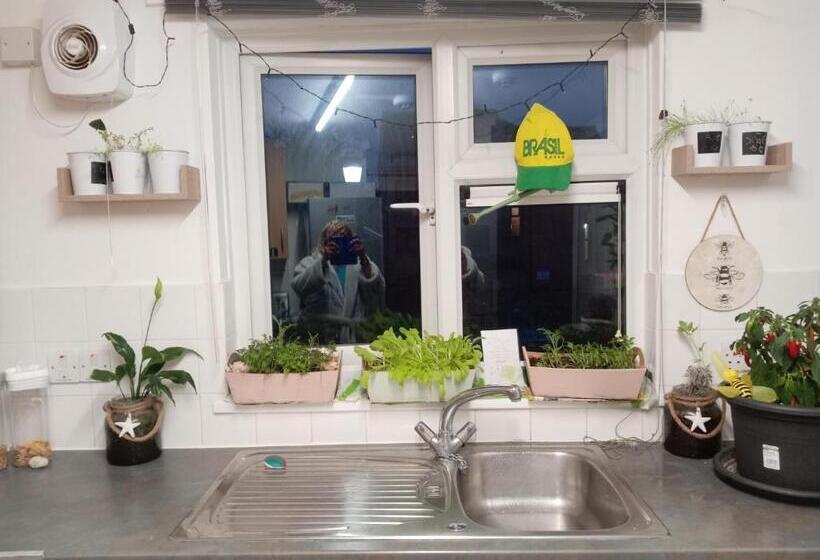 Номер Стандарт, Green View