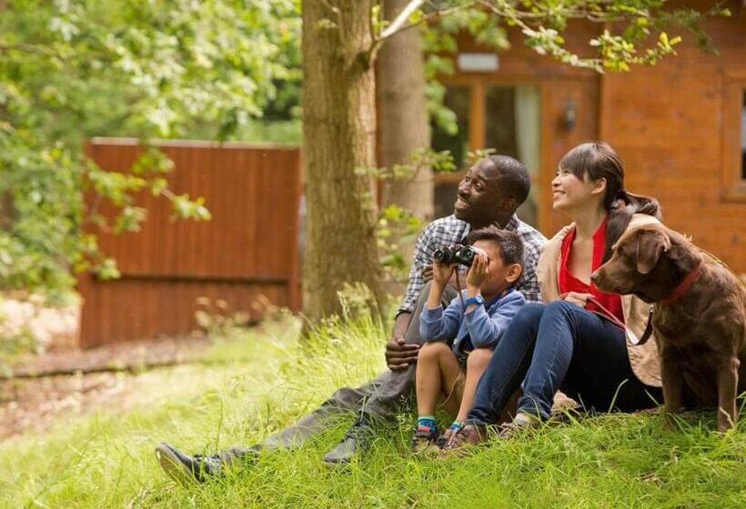 Дом 2 Спальни, The Woods At Herons Mead